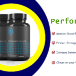 Performer 8 Review