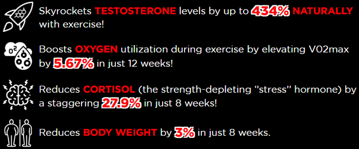 Testosil Benefits