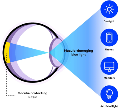 Performance Lab Vision Worlds Best Nutritional Protection from Eye Damaging Blue Light